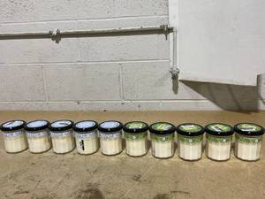 lot 252 image: LOT OF 10 Mrs. Meyers Soy Candles (Snowdrop, Iowa Pine Scents)