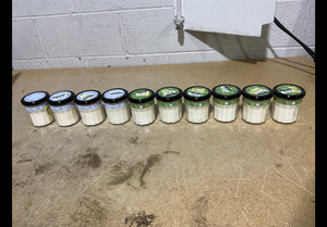 lot 253 image: LOT OF 10 Mrs. Meyers Soy Candles (Snowdrop, Iowa Pine Scents)