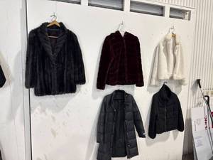 lot 2262 image: Assorted Womens Winter Coats Lot