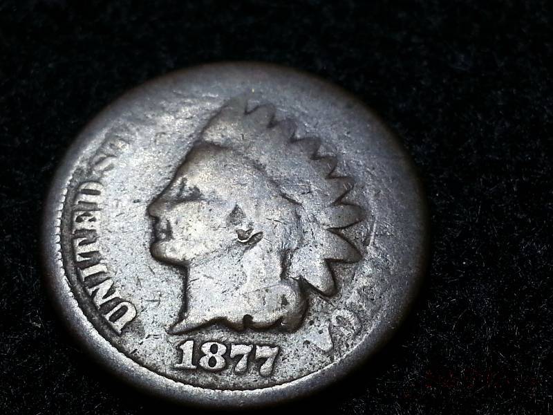 1877 Indian Head Cent