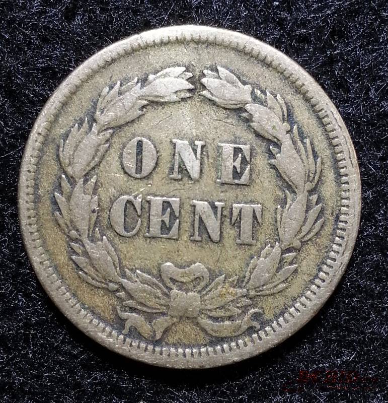 1859 Indian Head Cent