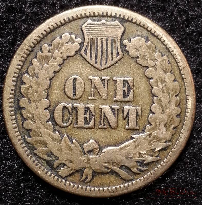 1864 Indian Head Cent Fattie