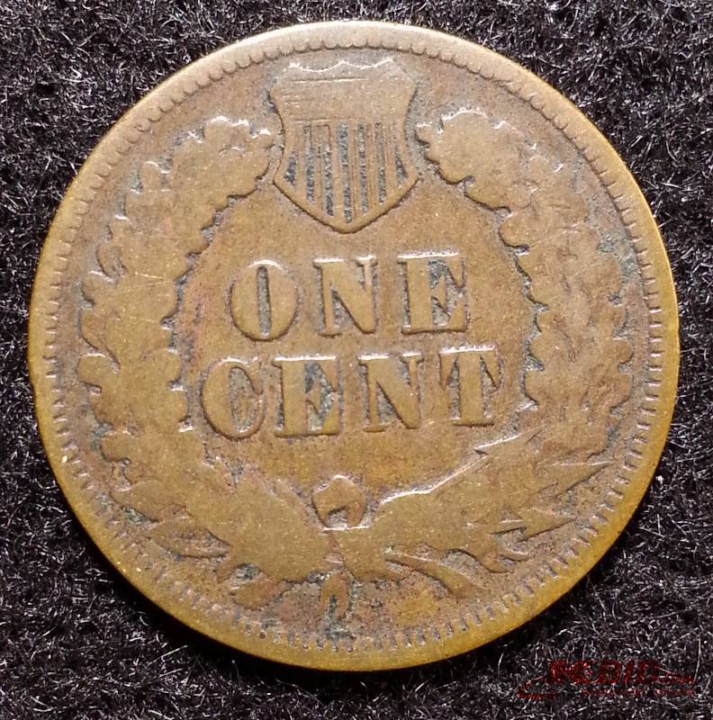 1873 Indian Head Cent Open 3