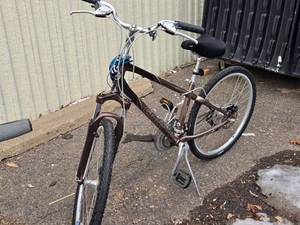 Giant 16 Trail Bike 22 Copper Frame