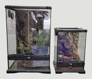 lot 98 image: Reptile starter kits for sale two aquariums and supplies. See the pictures