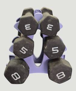 lot 105 image: Hand weight set Lot with 8, 5, and 3-pound weights