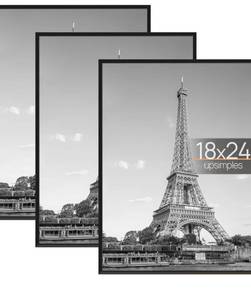 lot 218 image: 3 Pack of Photo Frames 18 x 24 $35.99 Retail - Brand New