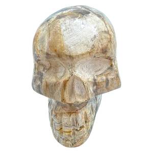 lot 12 image: Hand Carved Petrified Wood Skull - 7 Long