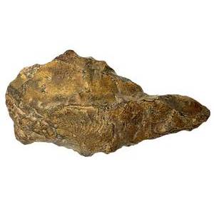 lot 25 image: Early Cave Man Acheulean Stone Hand Axe Tool Sahara Desert  Approx. 5 Homo Erectus Artifact