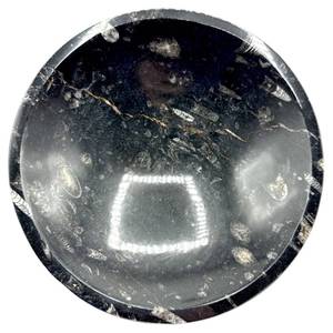 lot 34 image: Large Orthoceras Fossil Bowl  Decorative Dish  Polished Fossil Stone  Approx. 11 Diameter