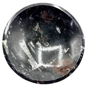lot 35 image: Large Orthoceras Fossil Bowl  Decorative Dish  Polished Fossil Stone  Approx. 11 Diameter