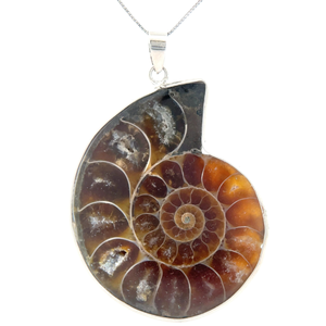 lot 38 image: Ammonite Fossil Pendant in Sterling Silver