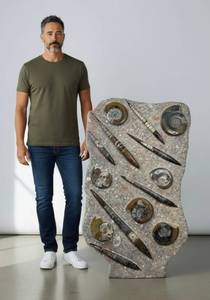 lot 21 image: Very Large Decorative Fossil Slab Featuring Orthoceras &amp Ammonites x Built-in Stand Morocco  Approx. 4 ft Display Piece (Edina Location Pick-up) Retail Price $6,000