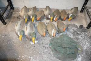lot 150 image: Duck Decoys