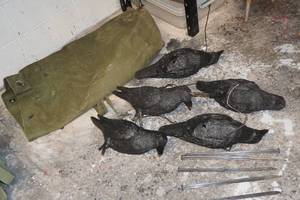 lot 152 image: Crow Decoys