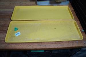 lot 120 image: 2 25.5x9 Plastic ServingDisplay Trays