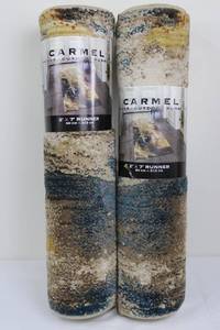 lot 114 image: Carmel IndoorOutdoor Runner Rug 2 x 7 (Lot of 2)