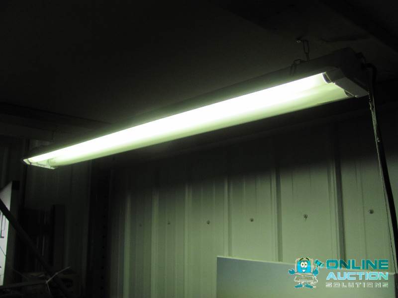 lot 54 image: Fluorescent Light with Two Bulbs (one current...