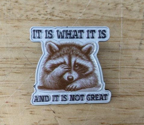 Raccoon Enamel Pin It Is What It Is And It Is Not Great - Brand New