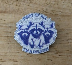 Raccoon First of All Im a Delight Enamel Pin - Brand New