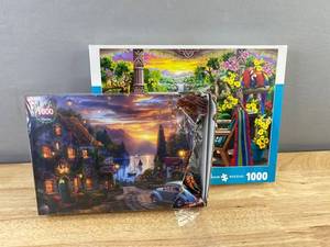 Wonder Forge Premium Jigsaw Puzzle 1000 Piece and Brand New City Sunset 100 Piece Puzzle