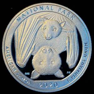 lot 33 image: 2020-S DCAM .999 Silver National Park Quarter, American Samoa