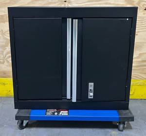 lot 171 image: Wall Mounted Cabniet 30x12x26