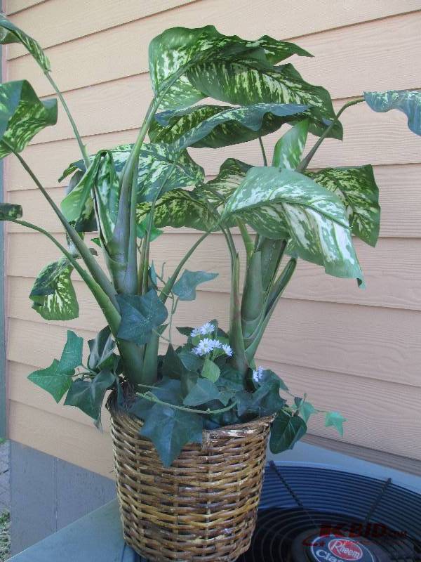 lot 79 image: silk fern in a pot...