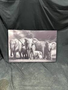 lot 2496 image: Elephant Family Canvas Print