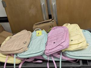 Backpack Lot - Mixed All in Motion Travel Backpacks