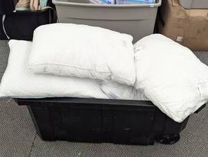 Huge Mixed Lot of Sealy Pillows