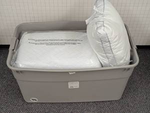 Lot of 5 - Sealy Pillows out of package - Higher end pillows