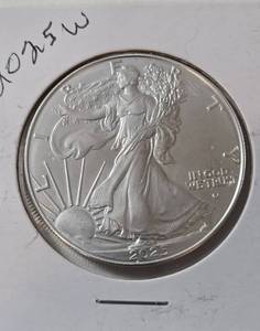 lot 67 image: 2025W Silver American Eagle