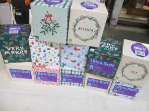 lot 85 image: 12 Packs of ultra soft facial tissu...