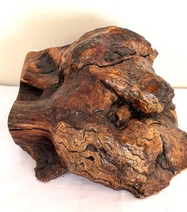 lot 172C image: DR - Petrified Wood Burl Chunk 5 x 8 in - Natural Decor Piece