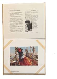 lot 343R image: BR1 - Fernandez Minnesota Pheasant Habitat Ringneck Unframed Print and Stamp Set