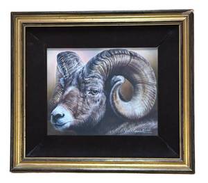 lot 484R image: MB - Bighorn Sheep Ram Print with Velvet Mat by Vivi K. Crandall