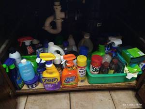 Cupboard of Cleaning Supplies