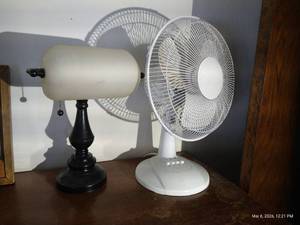Desk Lamp & Small Fan