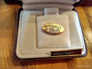Alerus 30 Year 14K Gold Lapel Pin