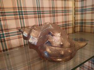 Brass Conch Shell