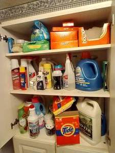 (3) Shelves of Laundry & Household Cleaners