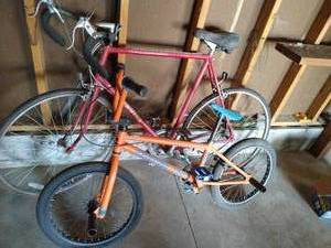 (1) BMX Bike & (1) 10-Speed Bike