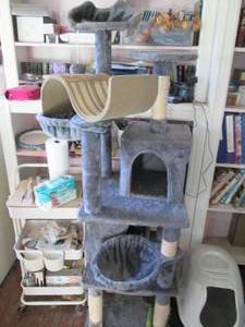 lot 95 image: Cats delight scratch, climb, play a...