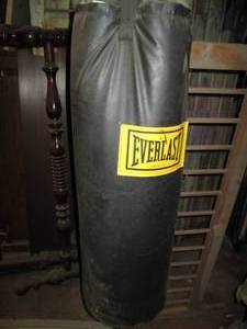 lot 246 image: Everlast punching bag...