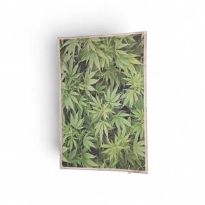 Cannabis Mat II 23x16
