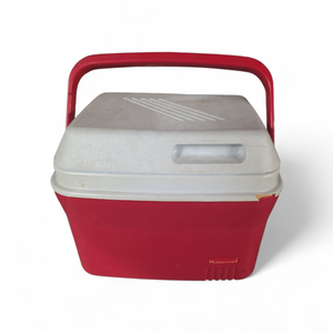 Mini Lunchbox Size Cooler