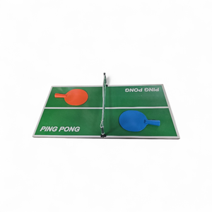 Mini Ping Pong Table with 2 Paddles