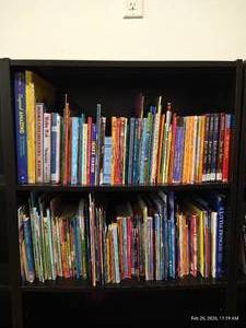 (2) Shelves of Childrens Books