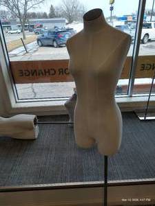 Mannequin Torso Display